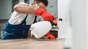 Best Pest Control for Multi-Family Homes  in Fort Oglethorpe, GA